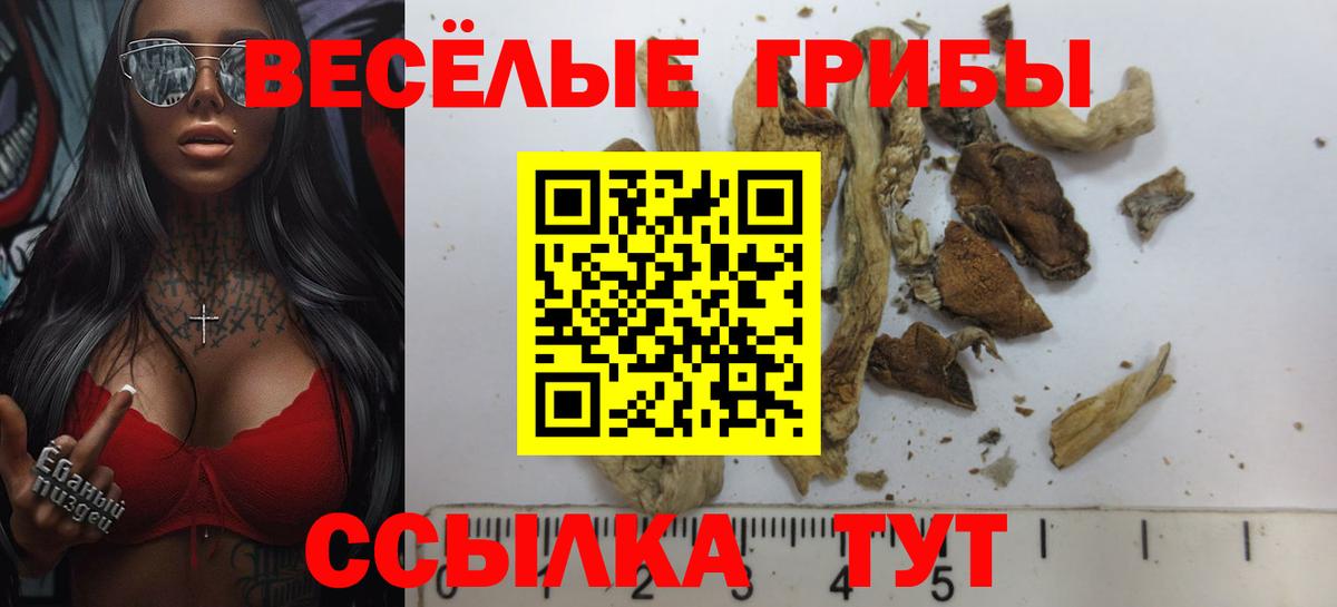 Галлюциногенные грибы MAGIC MUSHROOMS Тайшет