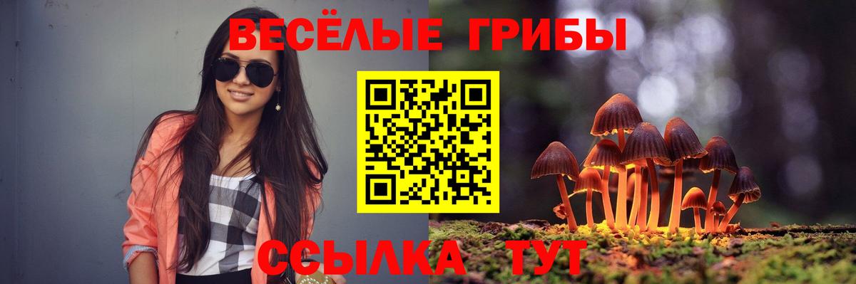 Псилоцибиновые грибы мухоморы  Вход с VPN  Тайшет 